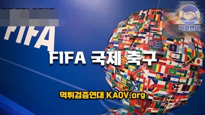 FIFA 축구 국가 대표 ( 국제 축구 연맹)